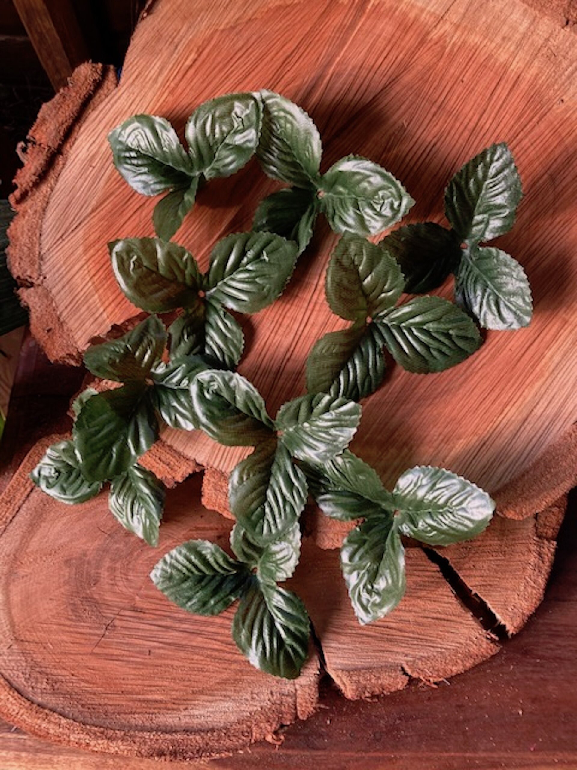 Pack de 10 Hojas de Plantas de Tela en Tonos Verdes - 3