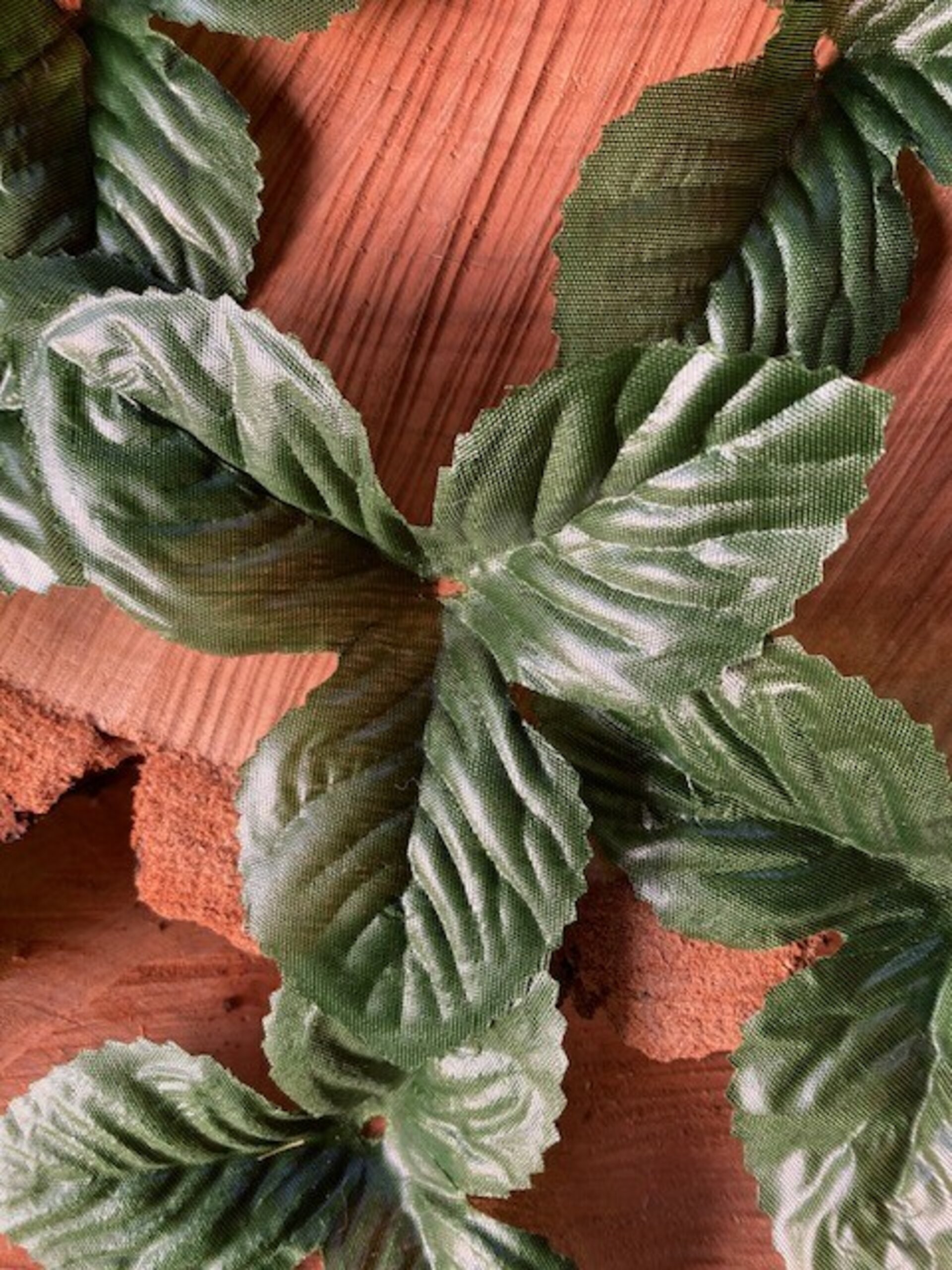 Pack de 10 Hojas de Plantas de Tela en Tonos Verdes - 2