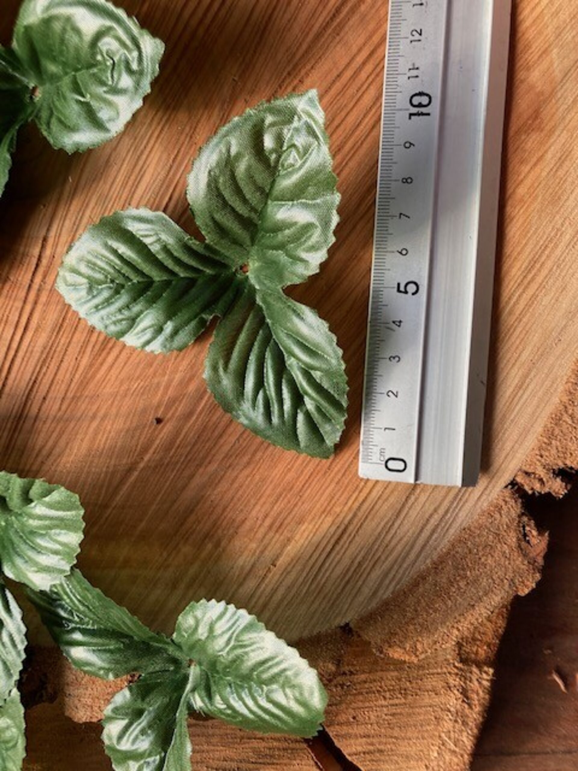 Pack de 10 Hojas de Plantas de Tela en Tonos Verdes - 4
